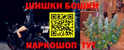 крисы Обь